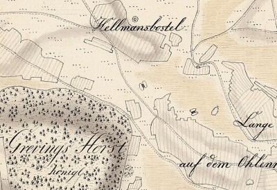 HL_Immenstelle Hunnebornsmoor.jpg